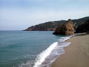 Plage à proximité