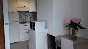 Fridge, microwave, stovetop, cookware/dishes/utensils