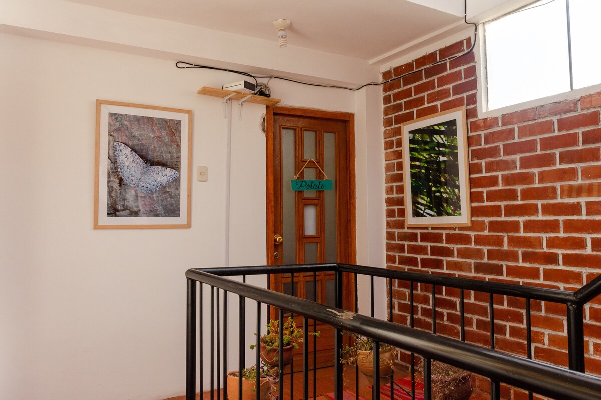 Single Room, 1 Single Bed, Shared Bathroom (Habitacion potato) | Free WiFi