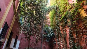 Un estrecho patio con un banco, un árbol y una pared cubierta de hiedra.