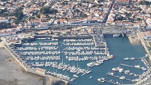 Vue aérienne d’une marina où sont amarrés de nombreux bateaux, le tout étant entouré d’immeubles résidentiels.