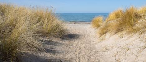 Nær stranden, solsenger og strandhåndklær