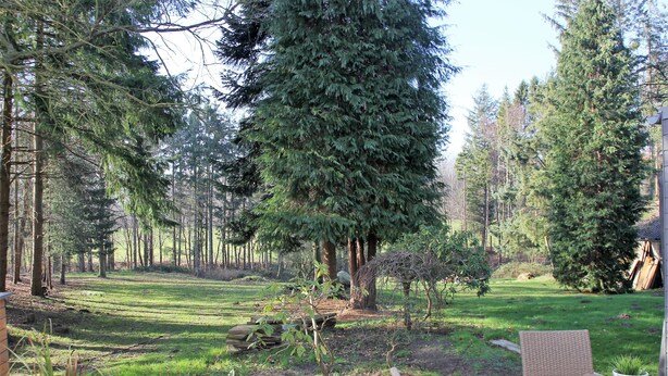 Un patio con mesa y sillas de madera, rodeado por un jardín con diversas plantas y un árbol grande.