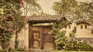 Un bâtiment rustique en pierre, doté d’une porte en bois, entouré d’une végétation luxuriante et bordé d’un chemin pavé.