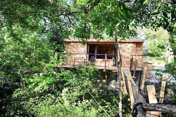 Cabane céleste - arrière