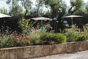 Outdoor dining - Apartment Olimpia - Fattoria Laviosa - Immersed in the hilly nature Tuscany (Fauglia (PI))