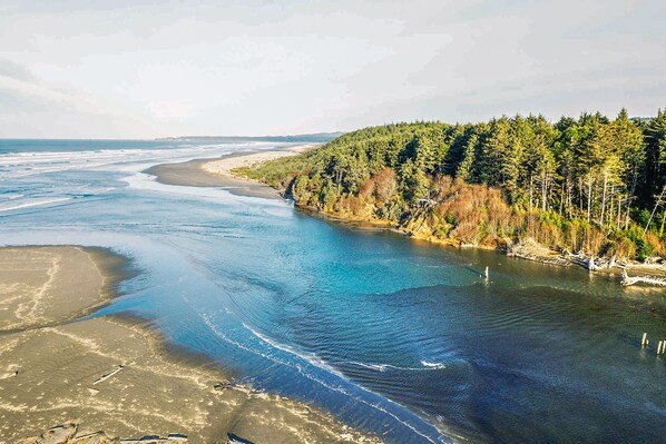 Unclassified image, 1 of 45, button