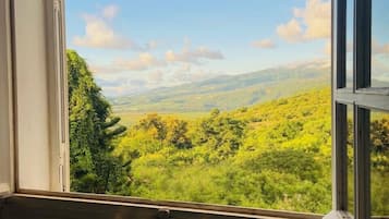 Double Room, Shared Bathroom | Blackout drapes, iron/ironing board, free WiFi, bed sheets