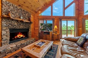 电视、壁炉、DVD 播放器