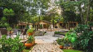 Un cortile con vialetti in pietra, posti a sedere all'aperto e rigogliosa vegetazione.