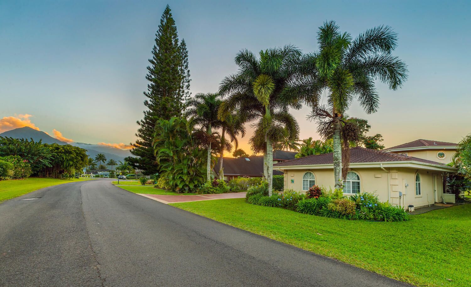 Una calle residencial con una casa, palmeras y una montaña al fondo.