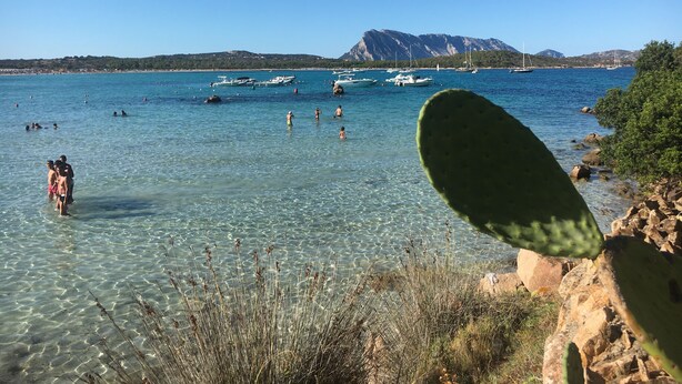 A coastal scene with clear water, boats, and rocky terrain. - Vacation home with sea view, Budoni - Sardinia  (Solitá)