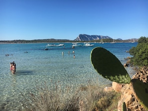 Sun loungers