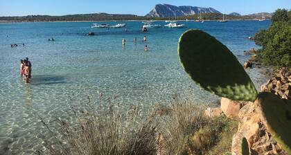 Maison de vacances avec vue sur la mer, Budoni - Sardaigne