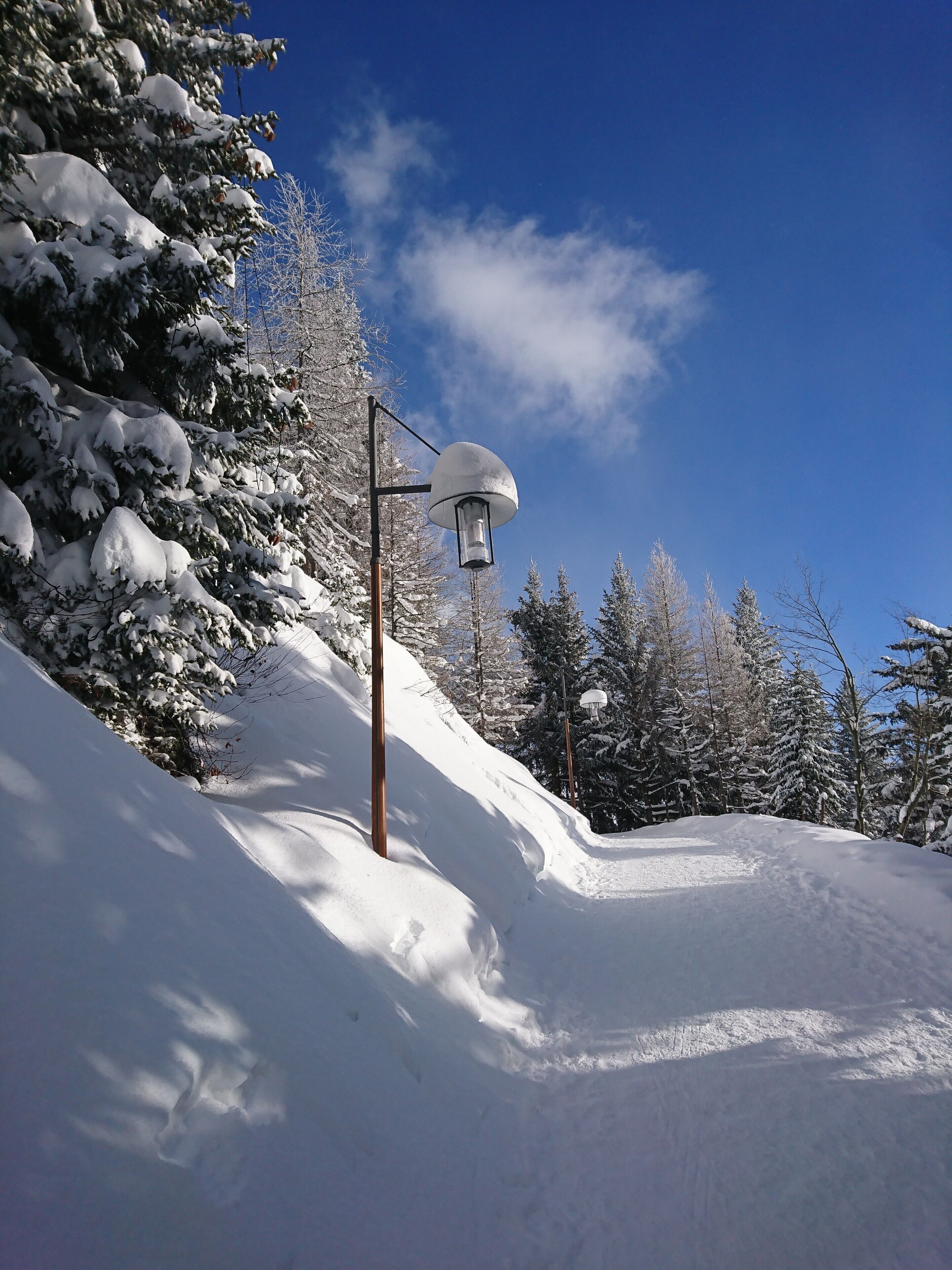 Un paysage enneigé avec un lampadaire et des arbres.