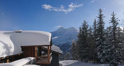 STUDIO CABIN 33m2 RESIDENCE LES CHAVONNES