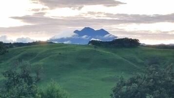A green landscape with rolling hills and a mountain in the background.