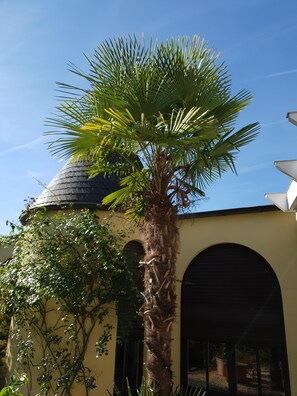 A palm tree in front of a building with a dome and arched windows. - Eifeler Romantiksuite Euskirchen Apartment Imperiale (Euskirchen)