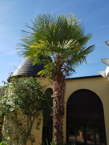 Eifeler Romantiksuite Euskirchen Appartement Imperiale