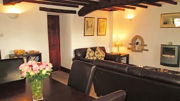 TV connectée, lecteur de DVD, livres, vidéothèque