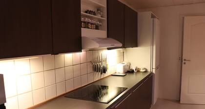 Iso kodikas talo Holstebrossa