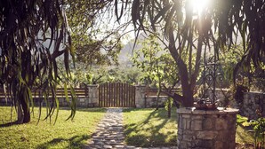 Un chemin de pierres qui traverse un jardin, avec une clôture en bois et un mur de pierres en arrière-plan.