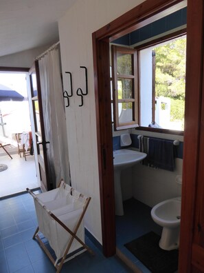 Shower, hair dryer, bidet, towels
