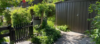 Chalet Oase Upper Apartment