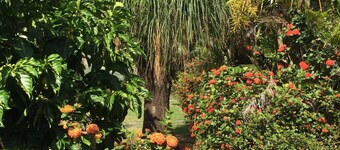 House for Carnival season