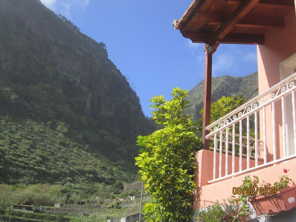 Property grounds - Casa Rural Rincon de Liria (Hermigua)