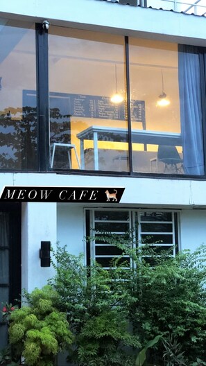 Restaurant - Cat's Hostel (Siem Reap)