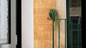 Ein Fenster mit Blick auf eine Gebäudefassade, eine grüne Tür und eine Pflanze, die an einem Haken hängt.