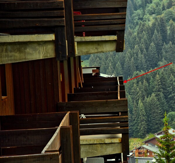 A view of a forested area with a building labeled "NOTRE APPARTEMENT" in the distance.