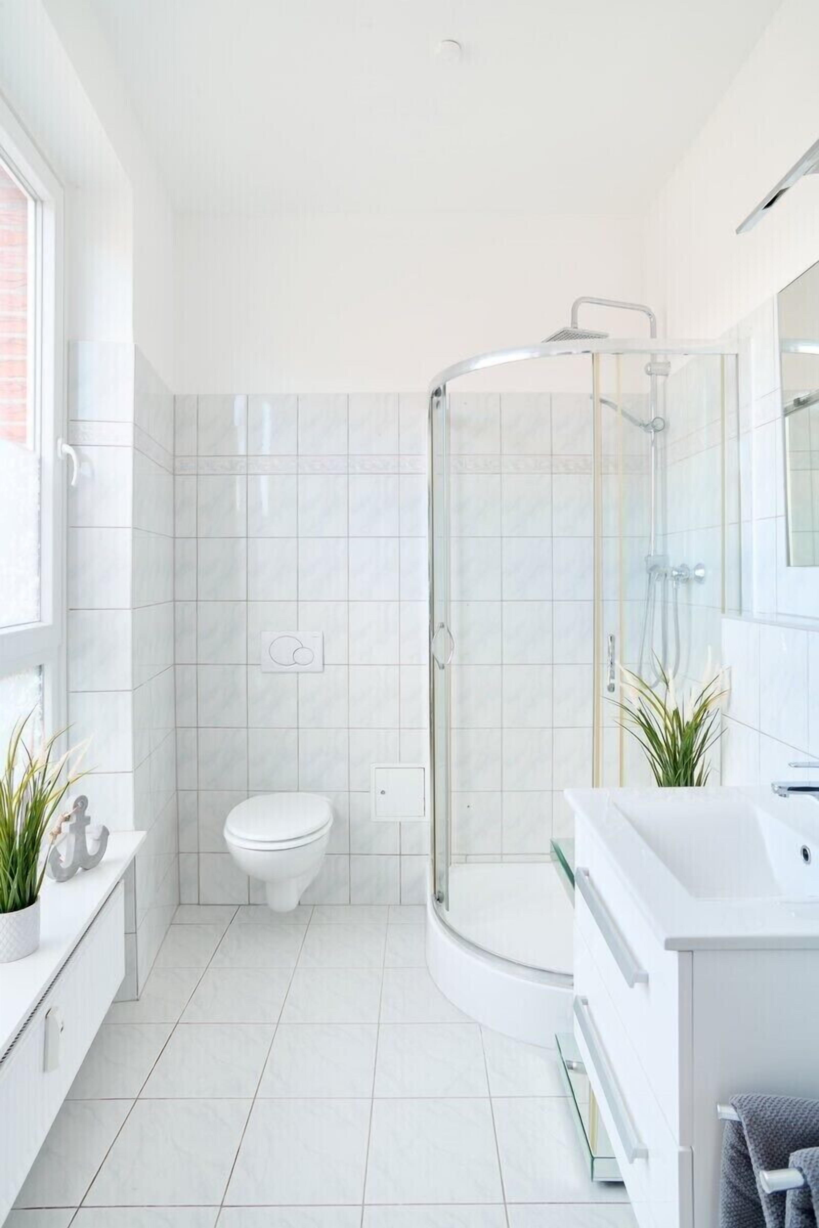 Dusche, Haartrockner, Toilettenpapier