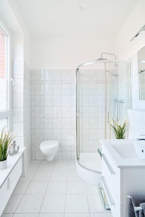 Douche, séchoir à cheveux, papier de toilette