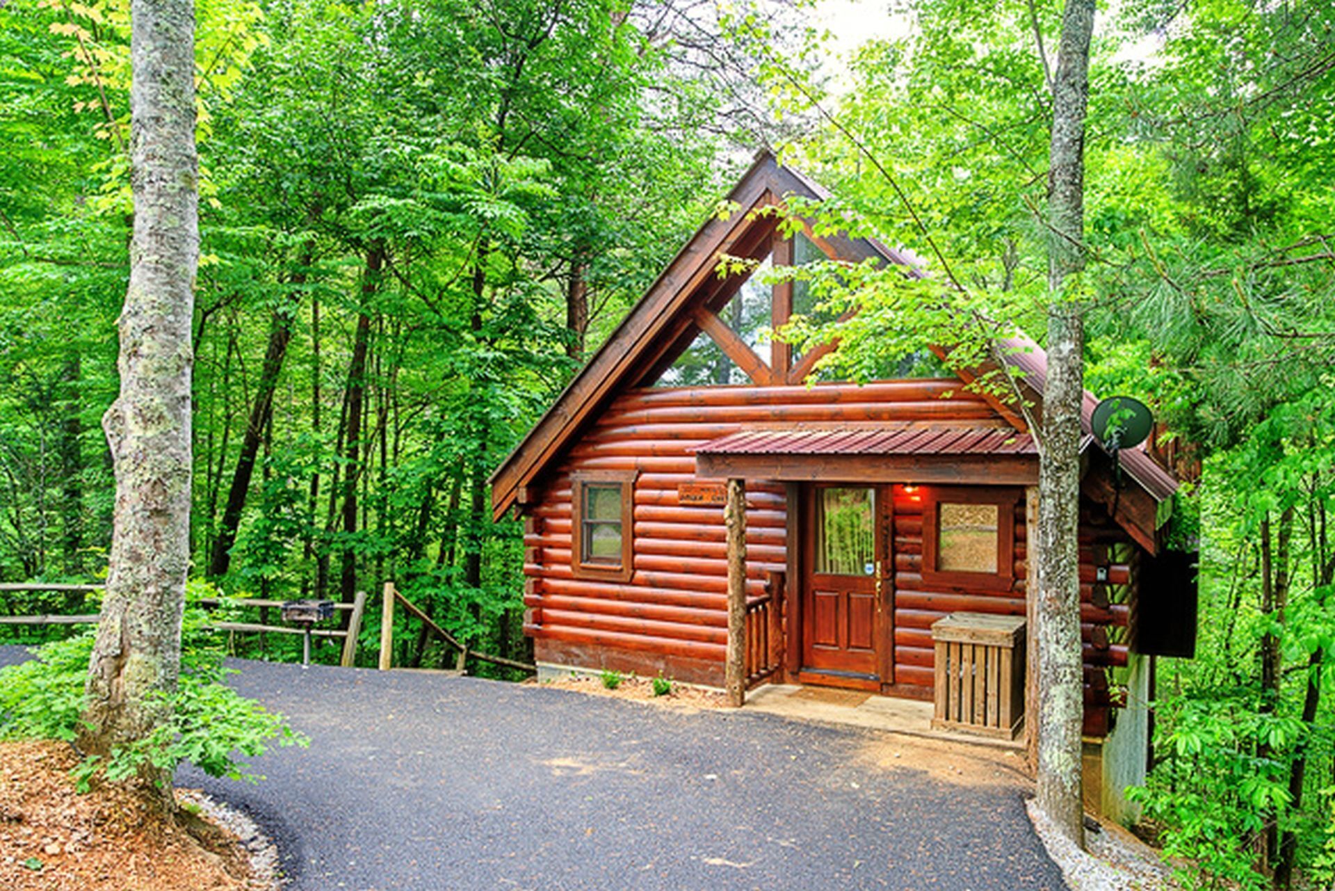 Semi-secluded - Perfect Honeymoon Cabin - Wooded Setting