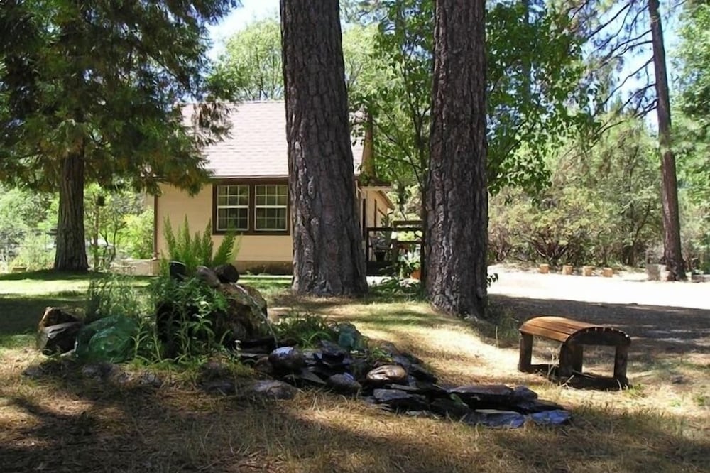 D&E Digs / Relax in the Woods Under Starlit Skies....