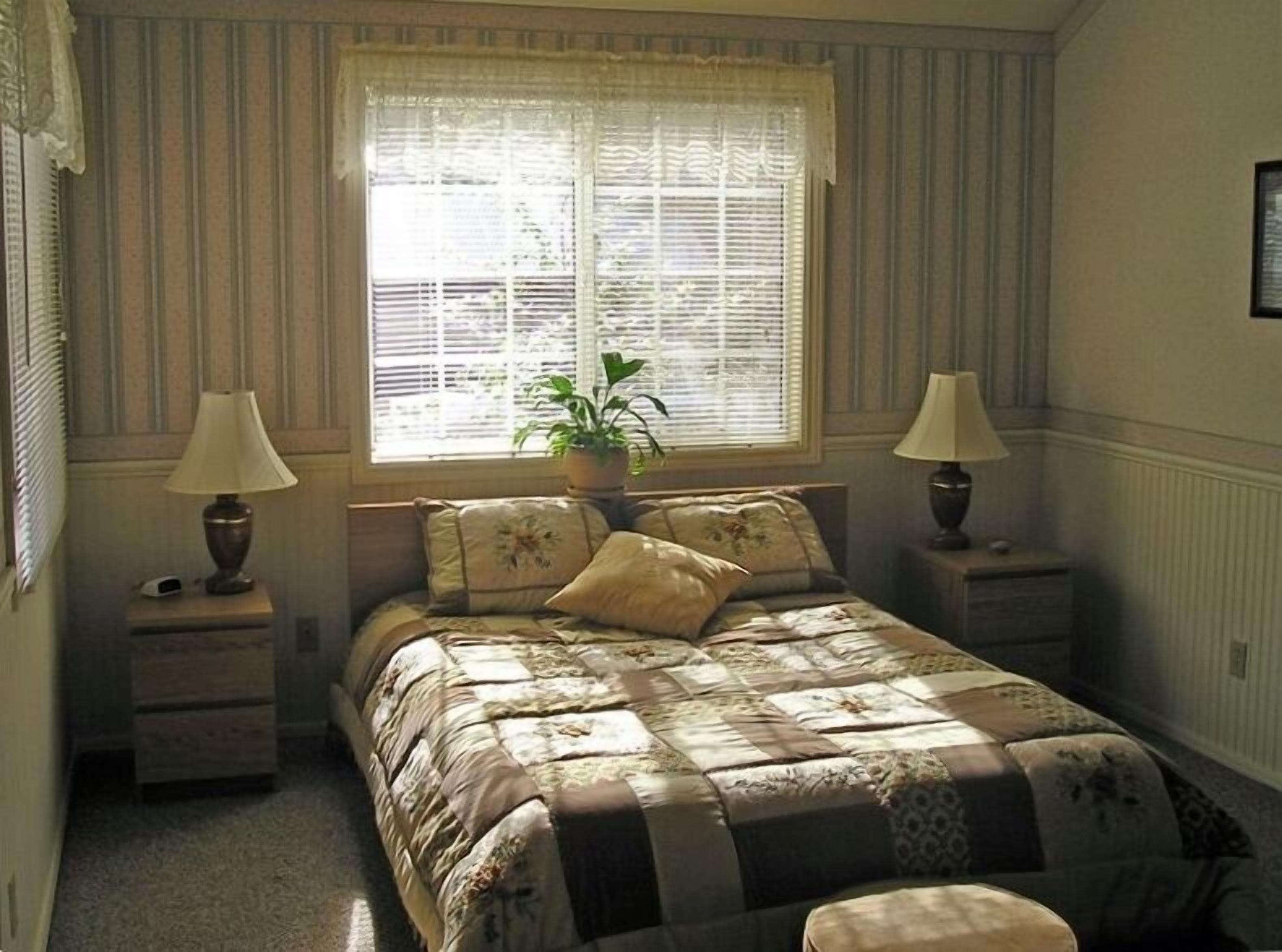 D&E Digs / Relax in the Woods Under Starlit Skies....