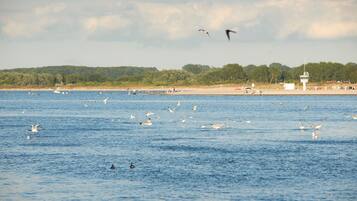 A beach with a control tower in the background.