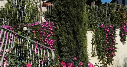 Blanc de La Haye en 1868 « un emplacement stratégique pour visiter la Toscane »