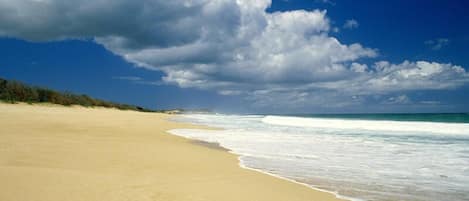Beach nearby, beach towels