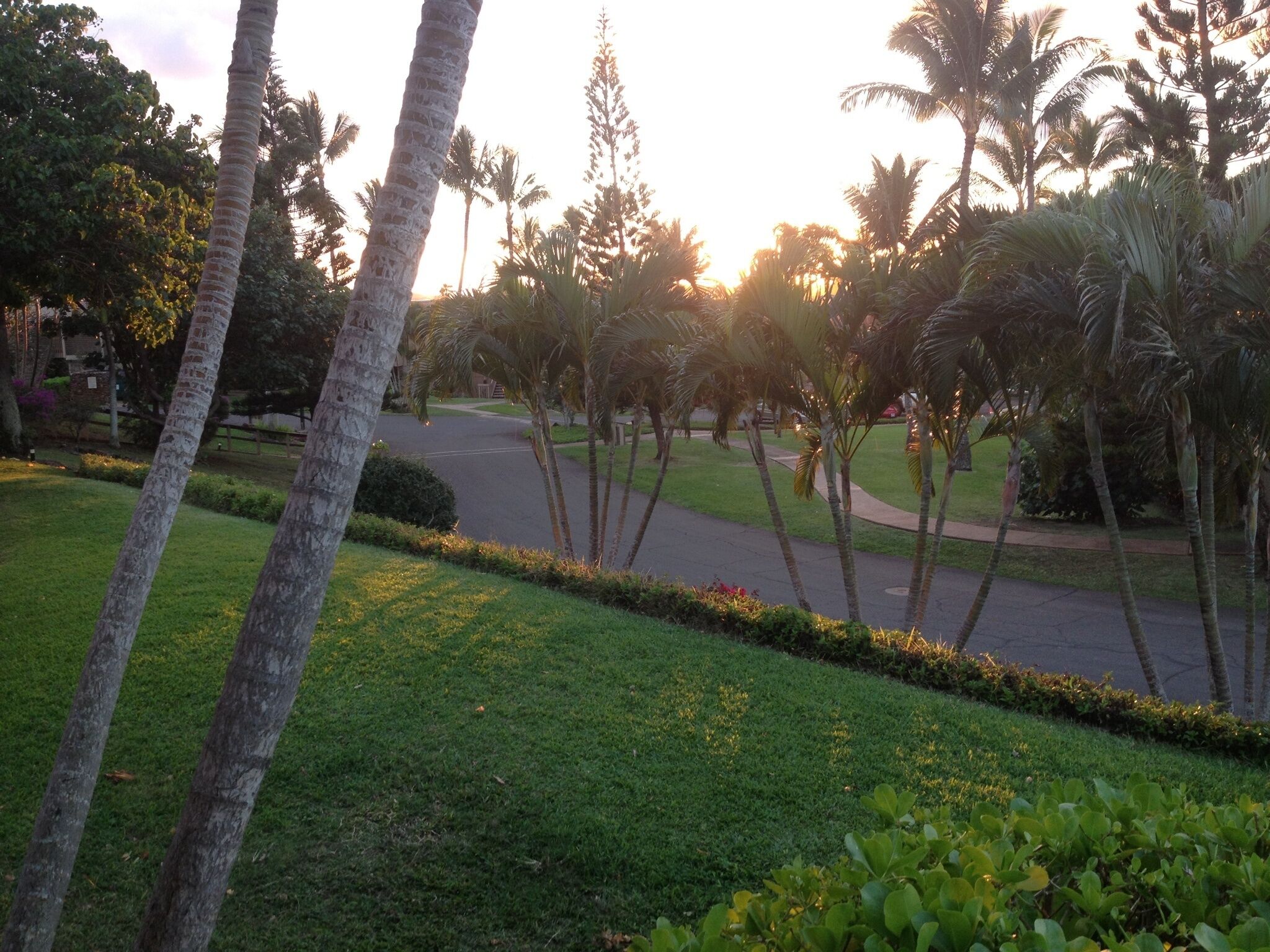 Overnattingsstedets uteområder