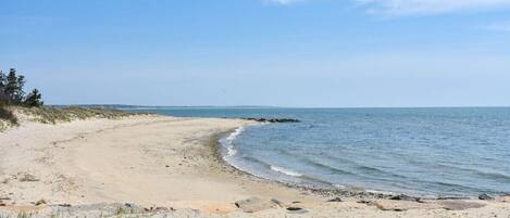 Vlak bij het strand