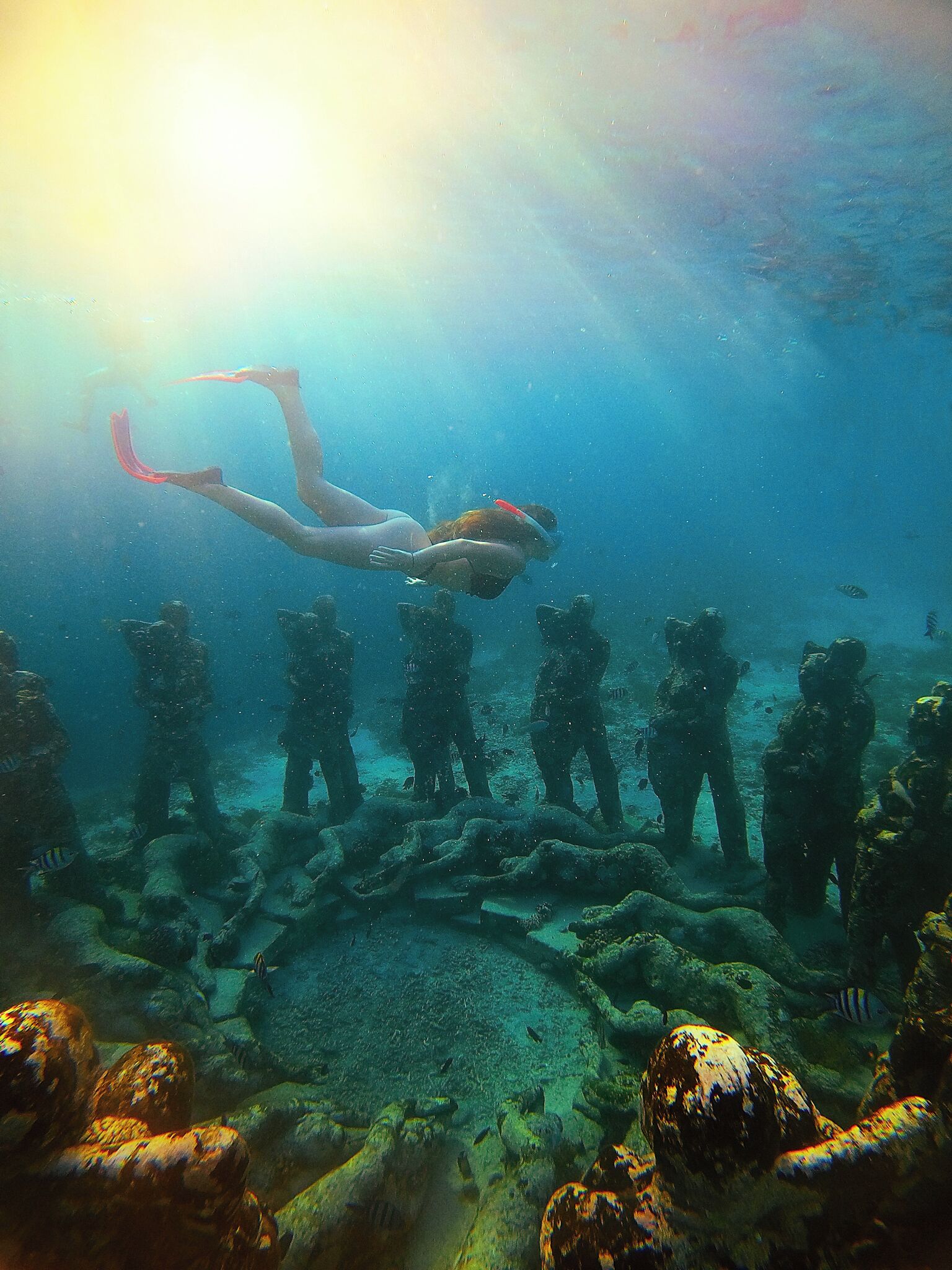 Un plongeur nageant sous l’eau avec un groupe de plongeurs et au milieu de la faune marine.
