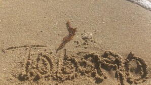 Una playa arenosa con una ola al fondo.