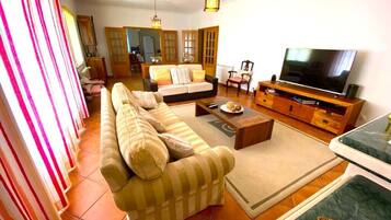 TV, fireplace, DVD player, foosball