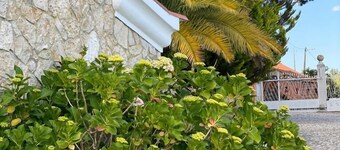 Quinta do Alto dos Pinheiros