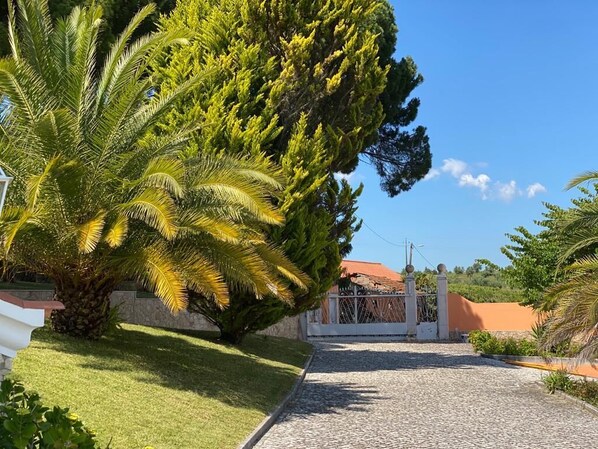 A cobblestone driveway leading to a gated entrance with a palm tree and a building with a red roof in the background.