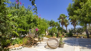 Un sendero empedrado con un carruaje antiguo y un asiento circular, rodeado de exuberante vegetación y palmeras.