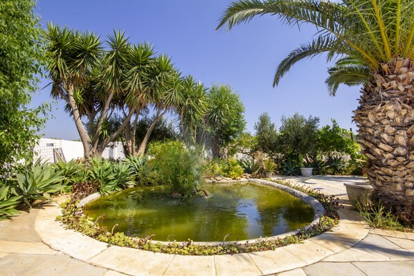 Property grounds - House / Villa - MarsalaHouse with characterHouse with character (Marsala)